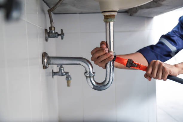 Best Local Plumber Services  in Grand Blanc, MI